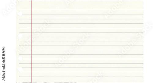 A close up of a piece of lined paper with holes on the left side of the sheet of paper visible on transparent background