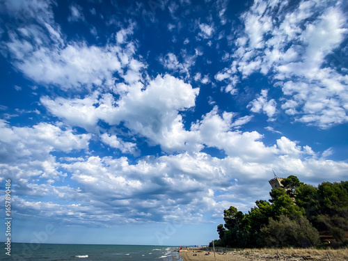Photos Cerrano Tower rising amid coastal greenery, standing on Pineto beach in Abruzzo