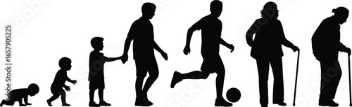 Human, life, stages, silhouette, age, evolution, growth, aging, childhood, adult, elderly, timeline, development, people, walking, crawling, running, cane, toddler, youth, maturity, old, vector, outli