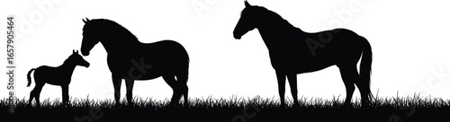 Horse silhouettes, foal, farm animals, rural scene, black vector, nature, equestrian, family, field, grass, countryside, illustration