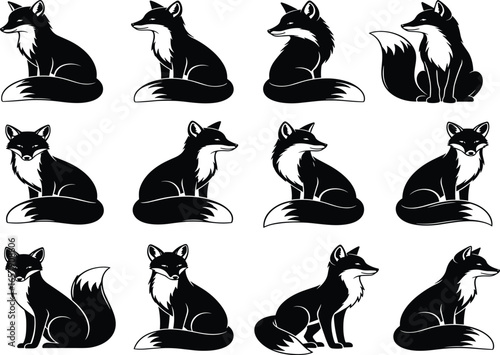 Fox illustrations, black and white foxes, animal poses, sitting fox, standing fox, lying fox, bushy tail, pointed ears, sharp snout, wildlife art, forest animal, 