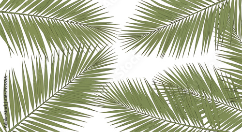 Palm leaves graphic design background