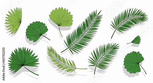 Tropical leaves design background
