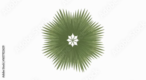 Palm frond pattern design graphic