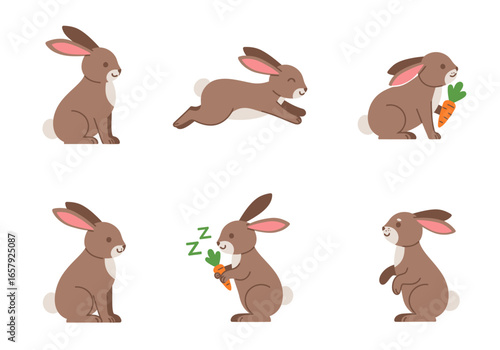 A collection of six charming illustrations depicting a brown rabbit in various poses, including sitting, running, eating a carrot, and sleeping.