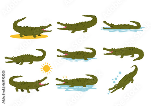 A collection of nine cartoon illustrations depicting alligators in various poses and environments, including on land, in water, and under a sun.