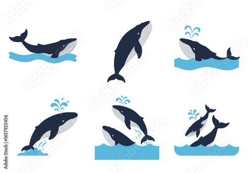 A set of six vector illustrations depicting blue whales in various dynamic poses, including swimming, breaching, and spouting water.