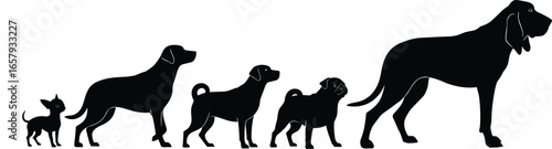 Silhouettes of Five Dogs in Varying Sizes – Chihuahua to Bloodhound in Black Vector Style on White Background for Pet Design