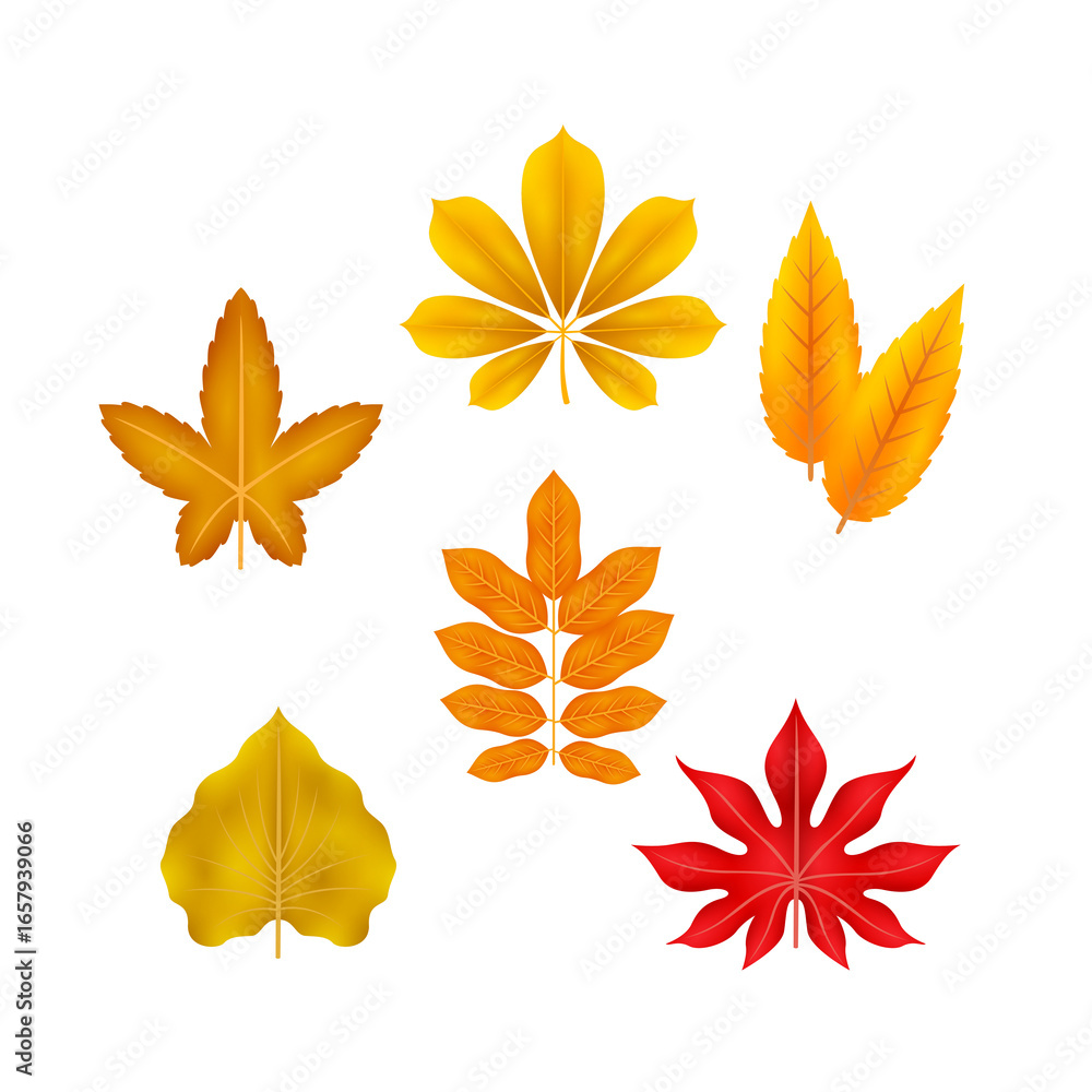 Obraz premium Autumnal Leaf Array: a collection of autumn leaf in various shapes and shades that is perfect for enhancing designs and expressing the beauty of the season.