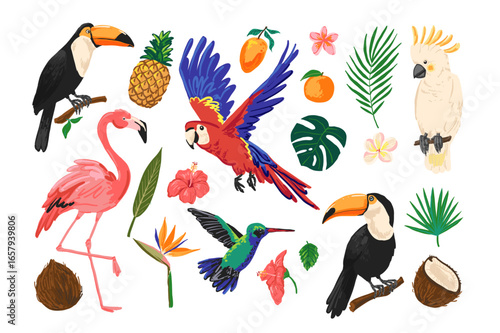 Tropical birds and exotic fruits set. Includes toucans, parrot, flamingo, cockatoo, hummingbird, and colorful plants on white.