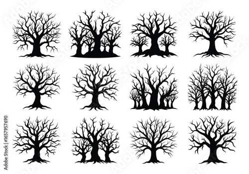 Collection of Spooky Bare Trees Silhouettes for Halloween or Autumn Designs