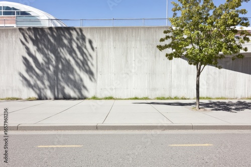 Wallpaper Mural Empty city street, light gray concrete wall, tree shadow Torontodigital.ca