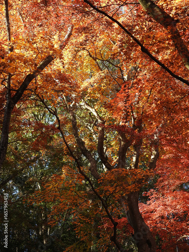 煉獄から逃れる手