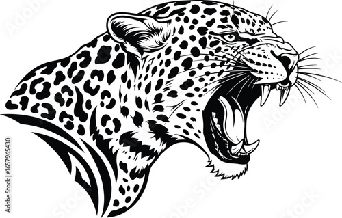 Aggressive leopard head illustration in black and white with open mouth, sharp teeth, and bold details
