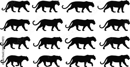 Panther silhouette set with 16 identical walking poses in bold black style for wildlife design