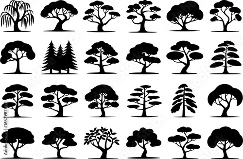 Diverse Tree  variety, forest, woodland, tree  vector bundle 