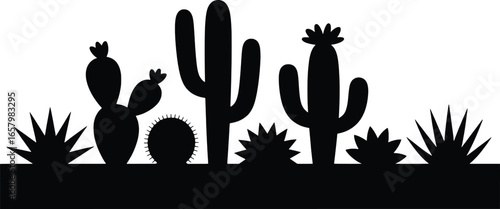 Desert landscape silhouette with various cacti and agave plants