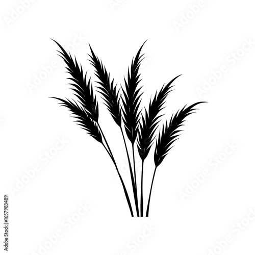 Pampas grass black design