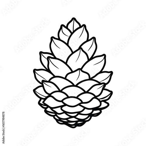 autumn pinecone drawing on white background