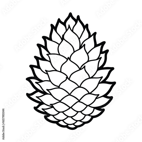 autumn pinecone drawing on white background