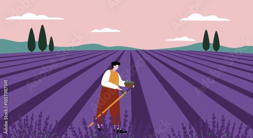 Person harvesting fresh lavender in a vibrant purple field, evoking tranquility and traditional agricultural work in a rural landscape.