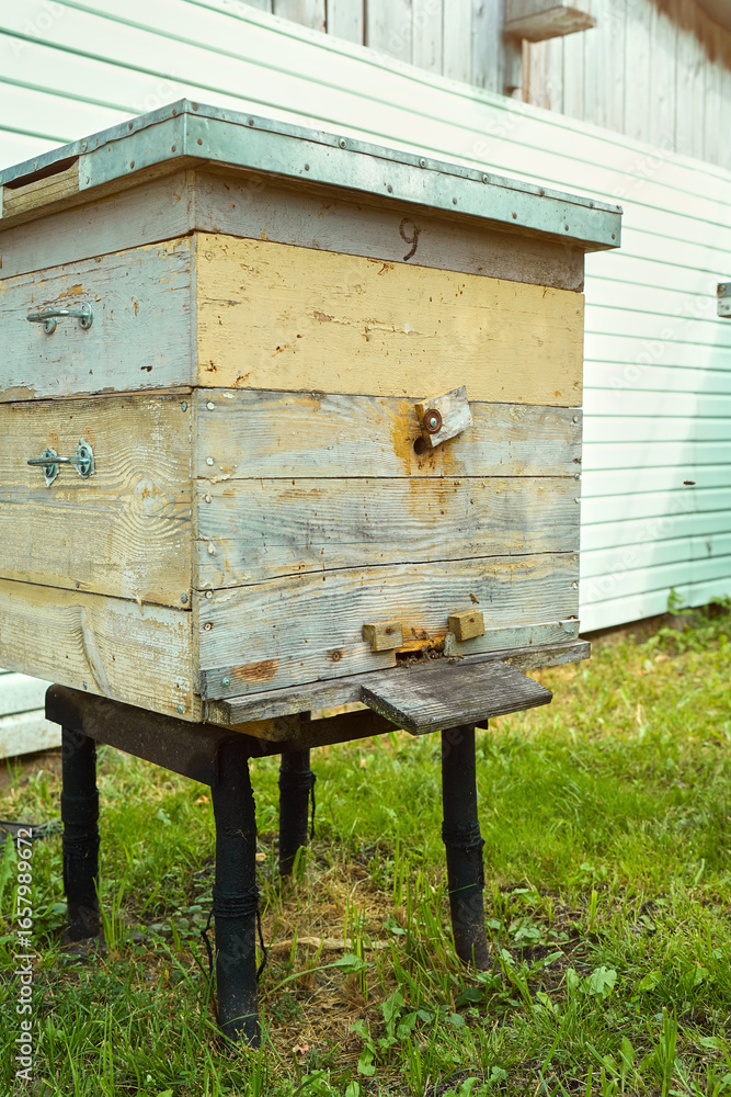 Bee colonies stand among the trees Bee colonies stand among the trees