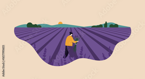 A person gathers lavender in a vibrant field during sunset or sunrise. Ideal for themes of nature, agriculture, well-being, and peaceful rural lifestyle.