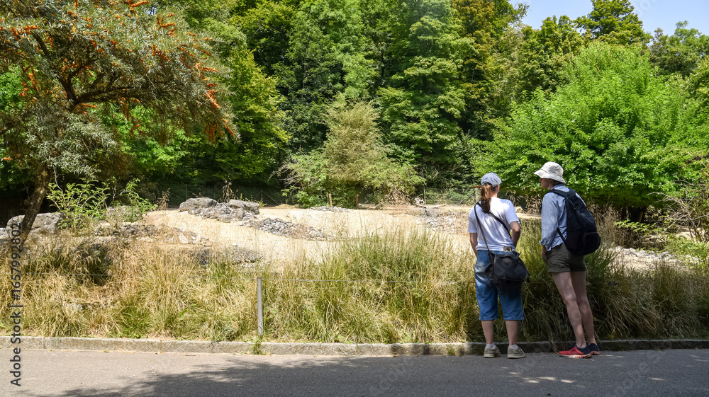 Two women stand outdoors observing an animal enclosure, surrounded by trees and greenery, during a summer visit to a zoo Two women stand outdoors observing an animal enclosure, surrounded by trees and greenery, during a summer visit to a zoo