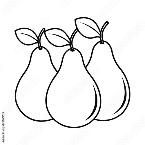 fresh-pears-line-art-on-white-background-.eps
