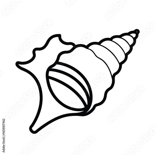 ocean conch clip art on white background 