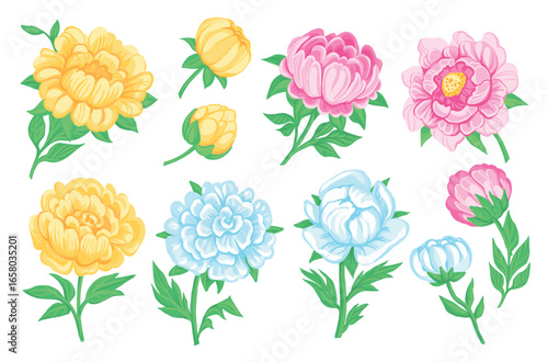 Peony flowers. Beautiful garden plants lush petals, pink, yellow buds and blue, cartoon botanical elements, spring, summer flora, wedding decorative botanical splendid vector isolated set