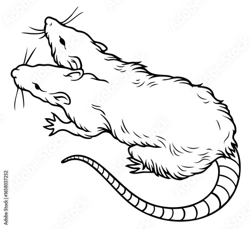 Two headed mutant rat with grotesque body, creepy monstrous rodent of plague and decay, eerie horror creature from nightmares, sinister gothic symbol of disease and darkness