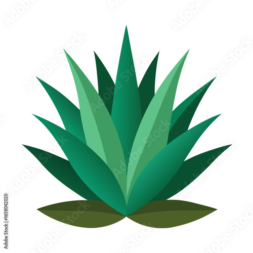 Stylized illustration of a desert agave plant with sharp leaves isolated on a clean white background for graphic design
