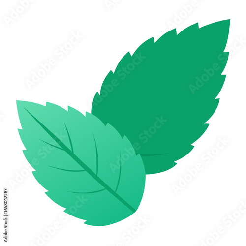A single vibrant green mint leaf illustration isolated on a clean bright white background perfect for culinary or decorative themes