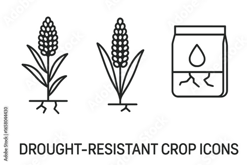 Drought resistant crops outline icon set. Vector illustration of sorghum, millet and seed packet for sustainable agriculture and climate resilient farming. Cultivation concept.