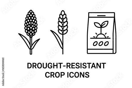 Drought-resistant crop icons. Outline icon set for smart and sustainable farming. Sorghum, millet, seed packet vector illustration for arid climate agriculture cultivation.