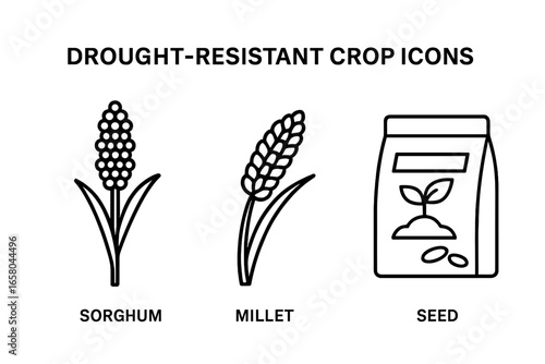 Drought resistant crop icons set with sorghum, millet, and seed packet. Concept for sustainable agriculture, smart farming, climate change solutions. Vector outline illustration.