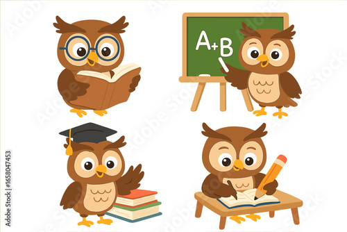 Wise owl education set. Cute cartoon birds studying. Student reading book, writing at desk. Teacher at chalkboard. Graduate in cap. Back to school learning vector characters.