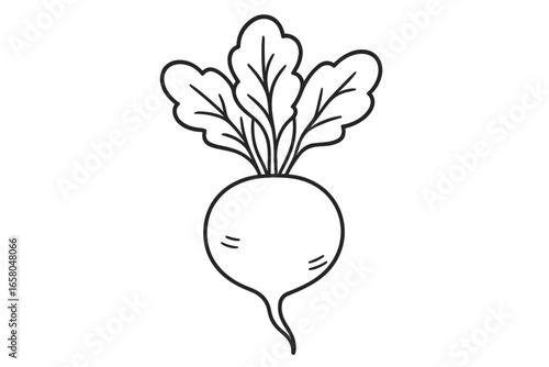 Radish line art vector illustration, root vegetable drawing with large leafy greens, organic farm produce, healthy food concept, unique shape detail, minimalist cartoon outline, transparent background
