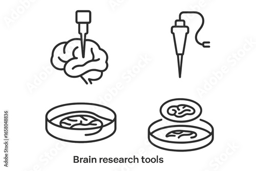 Neuroscience icon set. Brain research tools outline icons. Microelectrode probe, patch clamp pipette, brain slice in petri dish. Neurology lab experiment vector symbols.