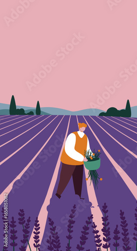 Person harvests flowers in a vast purple field, illustrating rural life, agriculture, and sustainable practices. Ideal for nature and farming concepts.