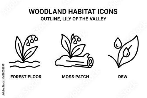Woodland Habitat Icons Set. Outline Style Lily of the Valley Flower on Forest Floor, Moss Patch with Fallen Log, Dew Drops Leaf. Vector Illustration. Botanical Spring Nature Elements.