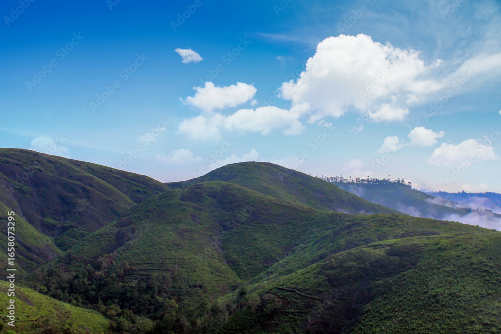 Fototapeta premium Beautiful view of Parunthumpara mountains Idukki, Kerala, India 