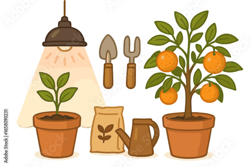 Indoor gardening set. Urban horticulture. Growing citrus tree at home from seedling to fruit. Plant care concept with grow light, tools, fertilizer, watering can. Vector icons.
