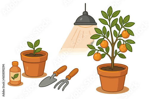 Indoor gardening vector set. Plant care concept with citrus tree, seedling, grow light, fertilizer, and tools. Home horticulture and cultivation cartoon illustration collection.