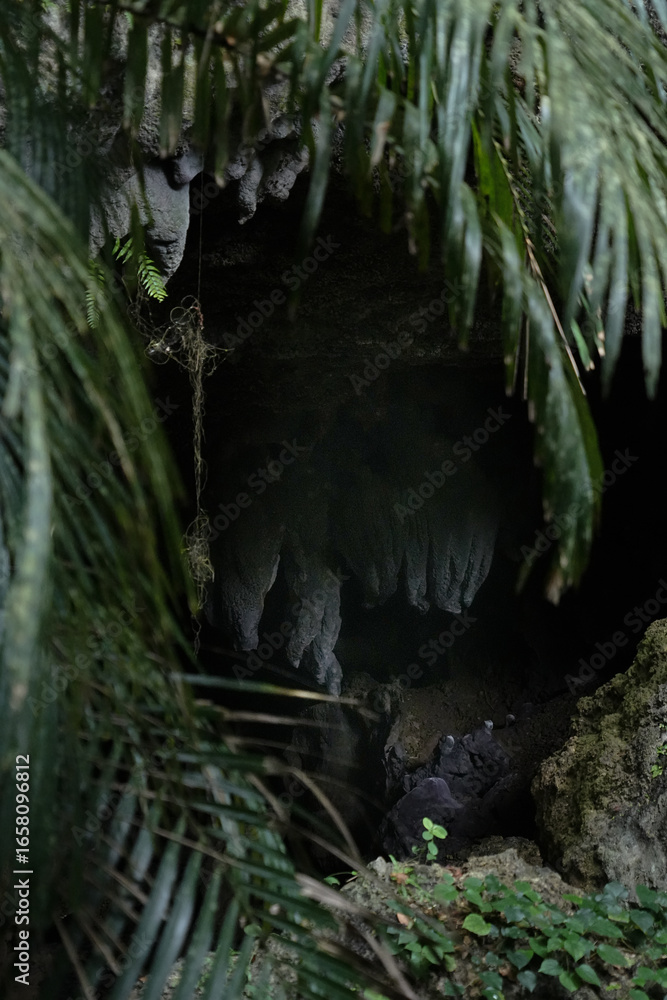 Fototapeta premium 沖縄県_西表島_クーラ洞窟