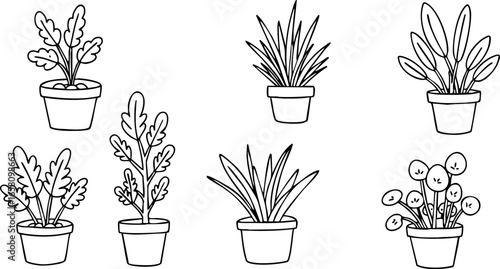 Indoor potted plants vector set with various leaf shapes and pot styles for home decor 