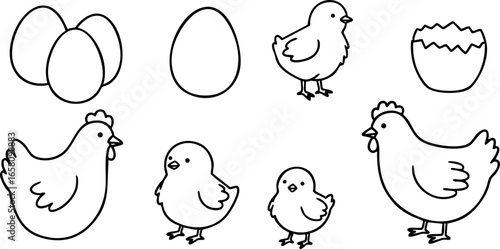 Chicken and Chick Line Art Vector with Eggs and Broken Eggshell Illustration 