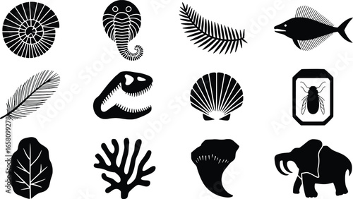 Collection of fossil illustrations in black and white silhouette style