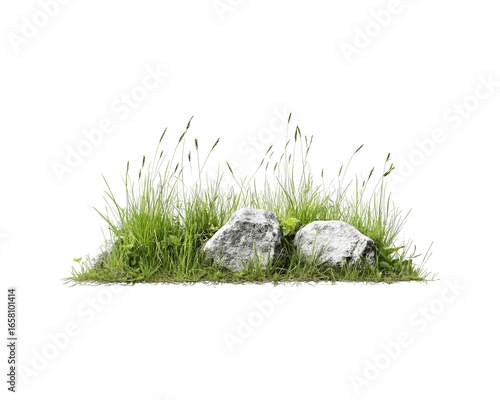 Grassy meadow with scattered rocks